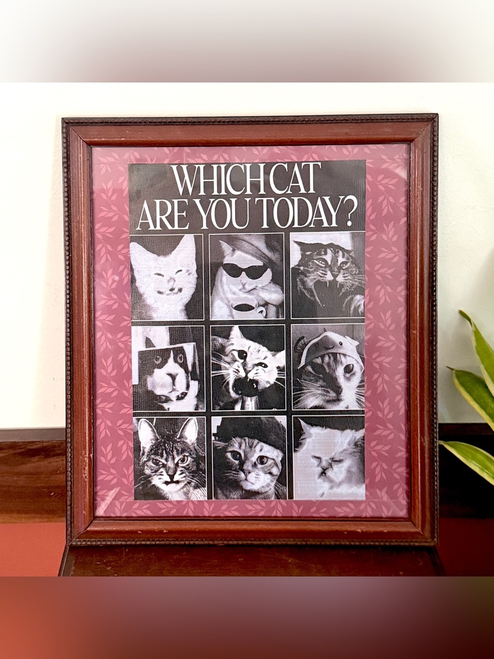 Which Cat Are You? Quirky Cat Mood Meme Framed Wall Art Print Pink Vintage Style